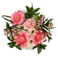 thumbnail image 1 of Member's Mark Mixed Farm Bouquets, 10 pk., choose variety, 1 of 5