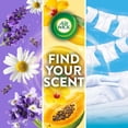thumbnail image 11 of Air Wick Plug In Scented Oil Air Freshener, Sweet Tulip Petals, 1 warmer + 6 refills, 11 of 11