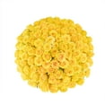thumbnail image 3 of Member's Mark Rose Vase Arrangement, 100 stems, choose color, 3 of 8