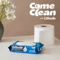 thumbnail image 7 of Cottonelle Freshcare Flushable Wipes, 12 ct., 504 wipes, 7 of 7