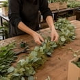 thumbnail image 2 of Member's Mark Garland, Seeded Eucalyptus, Choose length, 2 of 4