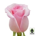 thumbnail image 5 of Member's Mark Fair Trade Roses, 75 stems, Choose color variety, 5 of 5