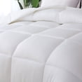 thumbnail image 2 of St. James Home Bamboo Down Alternative Comforter, 2 of 5