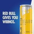 thumbnail image 9 of Red Bull Energy Yellow Edition, 8.4 oz., 24 pk., 9 of 10