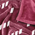 thumbnail image 5 of Logo Brands Central State Marauders 60"x70" Super Plush Blanket, 5 of 7