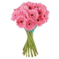 thumbnail image 2 of Member's Mark Gerbera Daisies, choose color and stem count, 2 of 8
