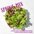 thumbnail image 5 of Revol Greens Spring Mix, 16 oz., 5 of 6