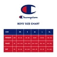thumbnail image 4 of Champion Boys 5-Pack Performance Boxer Brief, 4 of 4