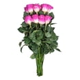 thumbnail image 5 of Member's Mark Illusion Roses, choose color and stem count:- 50, Hot Pink, 5 of 7