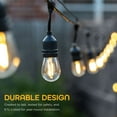 thumbnail image 4 of EcoScapes by Enbrighten 48' Outdoor LED Café String Lights, 24 Bulbs, 4 of 7