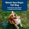 thumbnail image 8 of Blue Buffalo Health Bars Bacon, Egg, & Cheese Crunchy Dog Treats, 5 lbs., 8 of 9