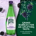 thumbnail image 2 of Maison Perrier Sparkling Water, Blackberry, 16.9 fl. oz., 24 pk., 2 of 7