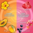 thumbnail image 6 of Air Wick Plug In Scented Oil Air Freshener, Hawaii Exotic Papaya & Hibiscus Flower + Lush Honeysuckle & Raspberry, Choose Pack, 6 of 9