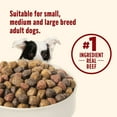 thumbnail image 6 of Rachael Ray Nutrish Real Beef, Pea & Brown Rice, Dry Dog Food, 50 lbs., 6 of 11