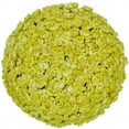 thumbnail image 1 of Member's Mark Mini Carnations, Choose color and stem count, 1 of 6