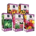 thumbnail image 6 of Member's Mark Boxed Spring Flower Bulbs, 6 of 7