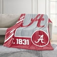 thumbnail image 2 of Logo Brands Alabama Crimson Tide 60"x70" Super Plush Blanket, 2 of 6