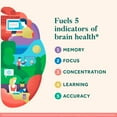 thumbnail image 2 of Neuriva Original Brain Health Supplement Capsules, 45 ct., 2 of 6