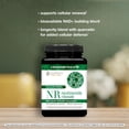 thumbnail image 6 of Youtheory® NR Nicotinamide Riboside, 120ct, 6 of 7