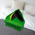 thumbnail image 2 of Logo Brands Kentucky State Thorobreds XL Puff Pillow, 2 of 5