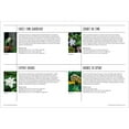 thumbnail image 5 of The Modern Gardener, Hardcover, 5 of 6