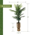 thumbnail image 4 of Artificial 6' Areca Palm Tree in a Handwoven Urn Style Basket, 4 of 4