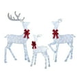 thumbnail image 2 of Member's Mark 3-Piece Pre-Lit Iced Twinkling Deer Family - White, 2 of 6