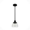 thumbnail image 8 of Hunter Cypress Grove with Clear Holophane Glass 1 Light Pendant Ceiling Light Fixture, 8 of 8