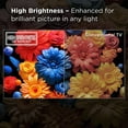 thumbnail image 6 of TCL 50" Class S-Series 4K LED Smart TV, 6 of 19