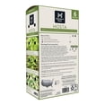 thumbnail image 2 of Member's Mark Hosta Collection Tortilla Chip, Lakeside Little Tuft, Mama Mia Dormant Bulbs, 6pk, 2 of 9