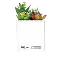 thumbnail image 1 of Tech Squared Power Bloom Charging Decorative Plant with Built-in retractable USB-C cable, 1 of 8