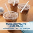 thumbnail image 4 of Member's Mark Jumbo Translucent Wrapped Plastic Straws, 7.75" 3000 ct., 4 of 7