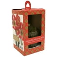 thumbnail image 1 of Amaryllis Minerva Bulb Pre-Planted in Glass Pot, 1 of 4