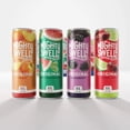 thumbnail image 3 of Mighty Swell Spiked Seltzer Variety Pack, 12 fl. oz. can, 12 pk., 3 of 10