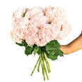 thumbnail image 3 of Member's Mark Color Enhanced Hydrangeas, 20 stems, choose color, 3 of 6