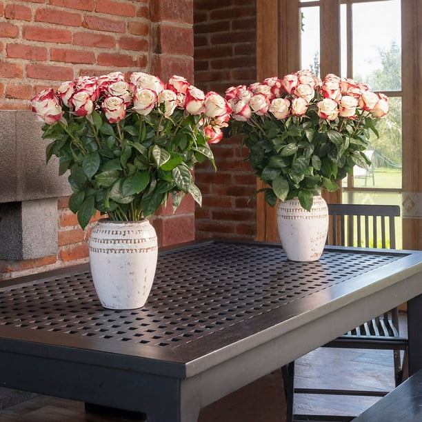 Member's Mark Ecuadorian Premium Roses, choose color variety and