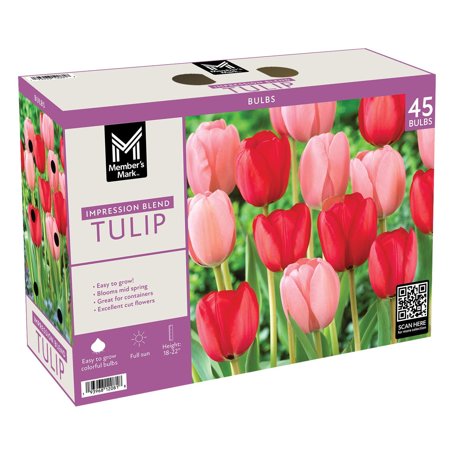 Member's Mark Tulip Impression Blend Dormant Bulbs, 45pk