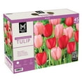 thumbnail image 1 of Member's Mark Tulip Impression Blend Dormant Bulbs, 45pk, 1 of 9