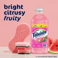 thumbnail image 4 of Fabuloso 2X Concentrated Multi-Purpose Cleaner, Watermelon 210 fl. oz., 4 of 8