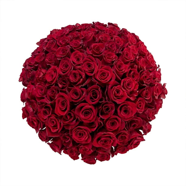 Member's Mark Rose Vase Arrangement, 100 stems, choose color