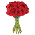 thumbnail image 2 of Member's Mark Gerbera Daisies, choose color and stem count, 2 of 8