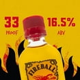 thumbnail image 2 of Fireball Cinnamon Malt Beverage, 50 ml bottle, 10 pk., 2 of 5