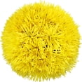 thumbnail image 1 of Member's Mark Spider Mums, choose color and stem count, 1 of 7