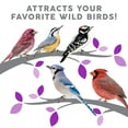 thumbnail image 7 of Harvest Seed & Supply Birder's Medley Wild Bird Food, Premium Mix of Bird Seed, 20 lbs., 7 of 10