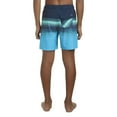 thumbnail image 4 of Hurley Boys Pull-On Swim Trunk, 4 of 9