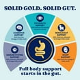 thumbnail image 10 of Solid Gold Bone Broth with Turmeric Dog Food Topper,16 oz., 2 pk., 10 of 10