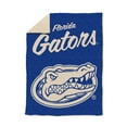 thumbnail image 1 of Logo Brands Florida Gators Luxe Dreams Throw, 60" x 80", 1 of 6