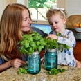 thumbnail image 3 of Modern Sprout's Organic Herb Garden Grow Kit, 2pk, 3 of 6