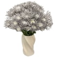 thumbnail image 2 of Member's Mark Painted Mums,  choose color and stem count, 2 of 5