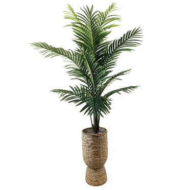 Artificial 6' Areca Palm Tree in a Handwoven Urn Style Basket